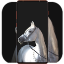 Horse Wallpaper HD APK