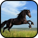 Horse Wallpaper APK