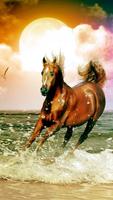 Horse Wallpaper تصوير الشاشة 2