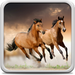 Horses Live Wallpaper