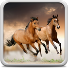 Horses Live Wallpaper ไอคอน