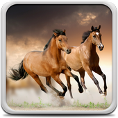 Paarden Live Achtergronden-icoon