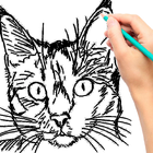 如何画一只猫 图标