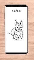 如何画一只猫 截图 2