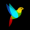 G30 - 記憶の迷路 APK