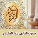سورة البقرة بصوت رعد الكردي APK
