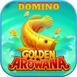 Golden Arowanna Domino Guide