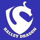Halley Dragon Mining App Tip APK