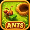 Ants APK