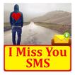 I Miss You SMS Text Message
