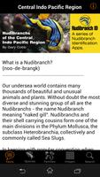 Nudibranch ID Central Indo Pac capture d'écran 1