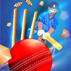 Live Cricket Tv For IPL 2024 icône