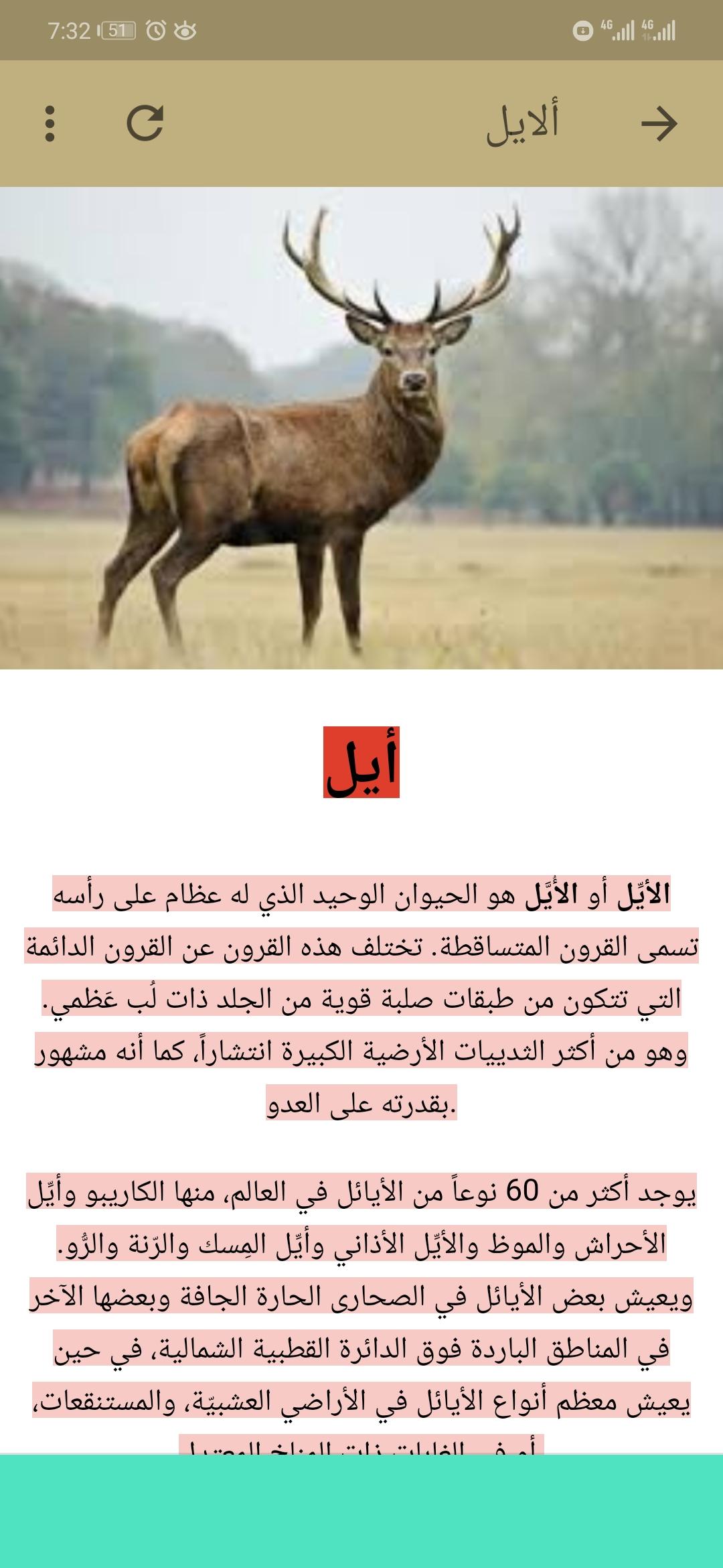 الايائل تعيش في