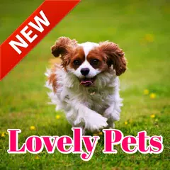 Cute Pets Wallpapers Background APK download