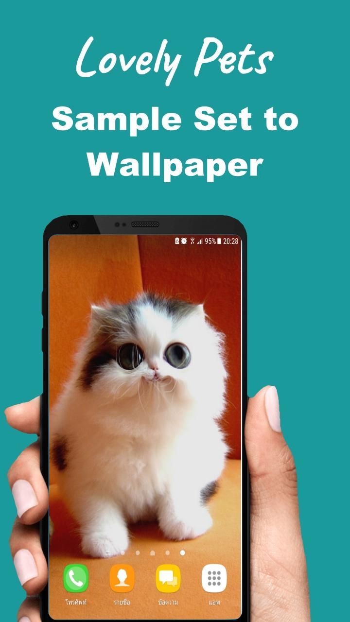 Android 用の かわいいペットの壁紙の背景 Apk をダウンロード