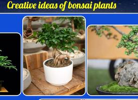 Creative ideas of bonsai plants पोस्टर