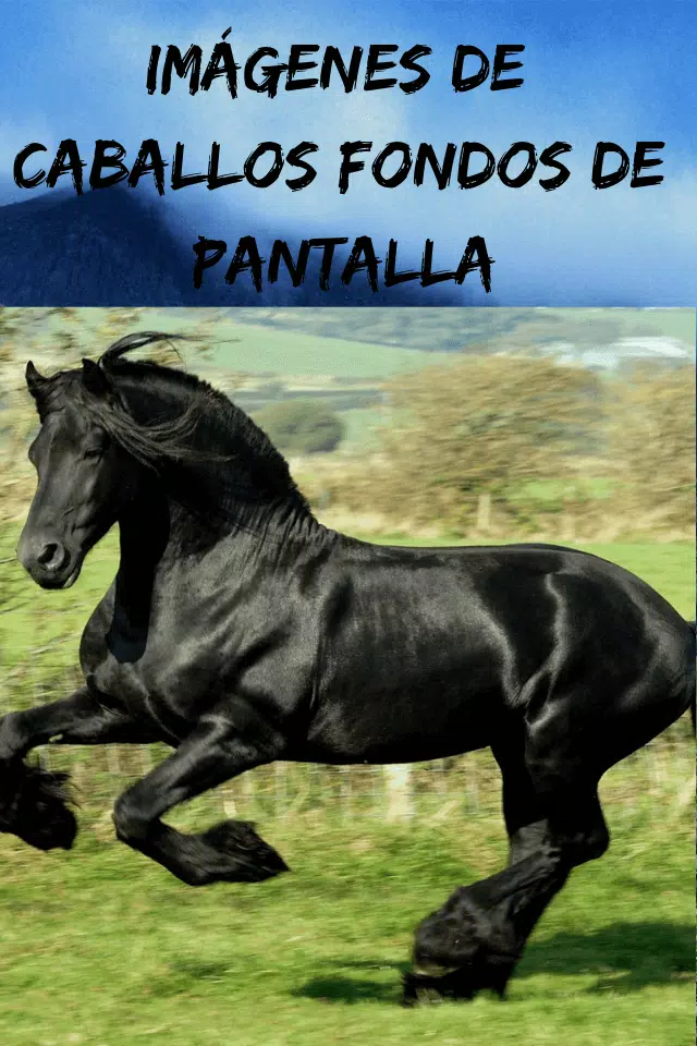 Imágenes de Caballos Gratis, Fondo de Pantalla HD APK للاندرويد تنزيل Imágenes de Caballos Gratis, Fondo de Pantalla HD APK للاندرويد تنزيل