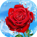 Flowers And Roses Gif