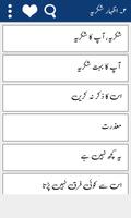 Urdu to Arabic Learning +Audio Screenshot 3