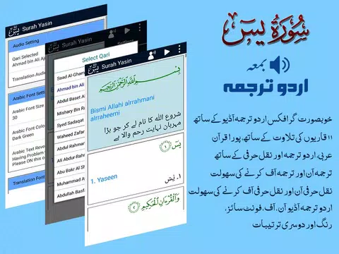 Screenshot 17 for Surah Yaseen with Urdu Tarjuma