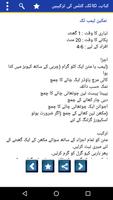 Pakistani Recipes - Ramzan capture d'écran 3