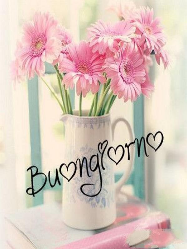 Buongiorno Fiori Immagini 21 For Android Apk Download