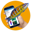 Bormes Med 3D APK