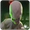 Cursed Emily: Horror Game APK