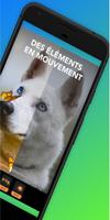 Guide Enlight Pixaloop 2020 تصوير الشاشة 1
