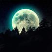 Moon Wallpapers