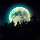 Wallpaper Bulan APK
