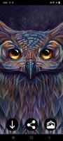 Owl Wallpapers स्क्रीनशॉट 2