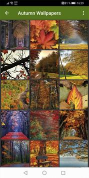 Autumn Wallpapers 截图 3