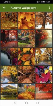 Autumn Wallpapers 海报