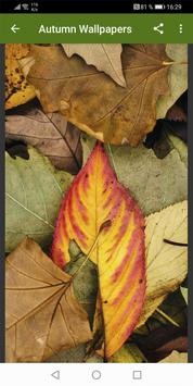 Autumn Wallpapers 截图 1