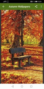 Autumn Wallpapers 截图 8