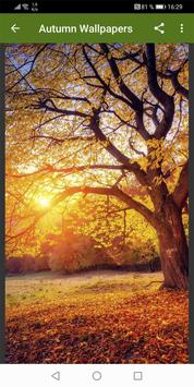 Autumn Wallpapers 截图 9