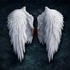 Angels Wallpapers APK