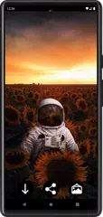 Astronaut Wallpapers XAPK 下載