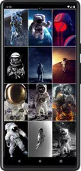 Astronaut Wallpapers XAPK 下載