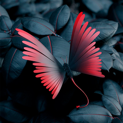 Sfondi farfalla