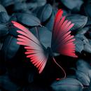 APK Sfondi farfalla