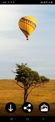 Balloon Wallpapers XAPK download