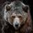 Bear Wallpapers APK