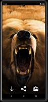 Bear Wallpapers پوسٹر