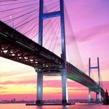 Papéis de Parede de Ponte APK