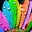 Fonds d'écran colorés