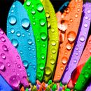 Красочные обои APK
