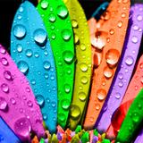 Colorful Wallpapers APK