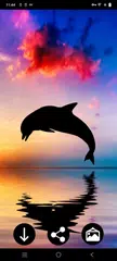Delphin-Hintergrundbilder XAPK Herunterladen